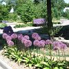 park (13)